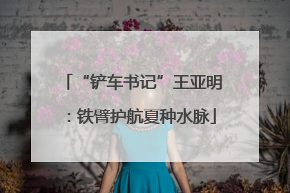 “铲车书记”王亚明：铁臂护航夏种水脉
