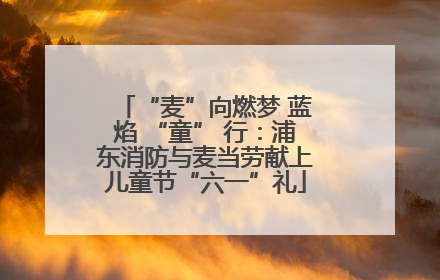 “麦”向燃梦 蓝焰 “童” 行：浦东消防与麦当劳献上儿童节“六一”礼