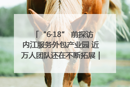 “6·18” 前探访内江服务外包产业园 近万人团队还在不断拓展｜内江东兴“红”在哪⑤