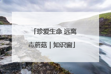 珍爱生命 远离毒蘑菇｜知识窗
