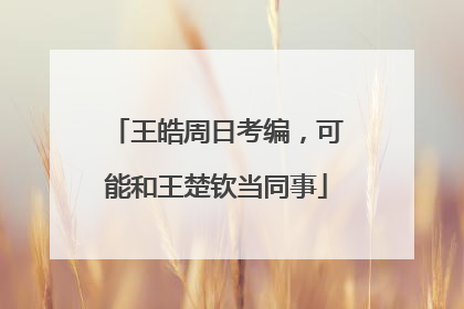 王皓周日考编，可能和王楚钦当同事