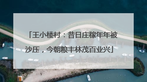 王小楼村：昔日庄稼年年被沙压，今朝粮丰林茂百业兴
