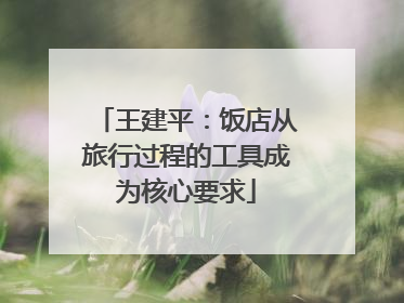 王建平：饭店从旅行过程的工具成为核心要求
