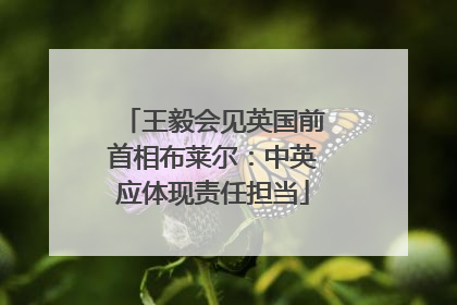 王毅会见英国前首相布莱尔：中英应体现责任担当