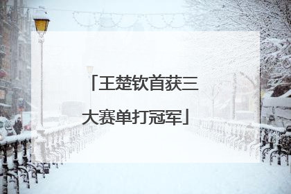 王楚钦首获三大赛单打冠军