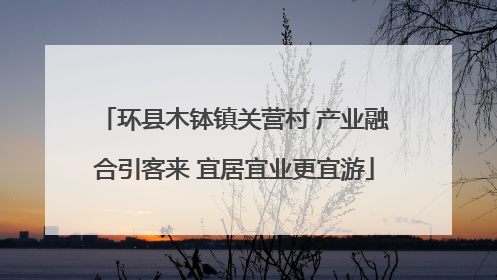 环县木钵镇关营村 产业融合引客来 宜居宜业更宜游
