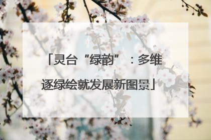 灵台“绿韵”：多维逐绿绘就发展新图景