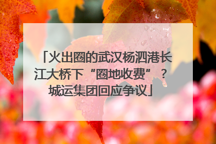 火出圈的武汉杨泗港长江大桥下“圈地收费”？城运集团回应争议