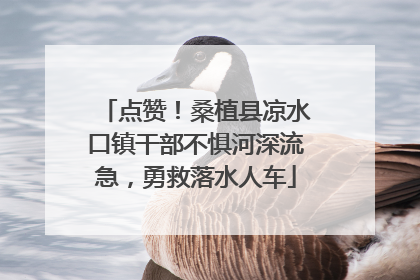 点赞！桑植县凉水口镇干部不惧河深流急，勇救落水人车