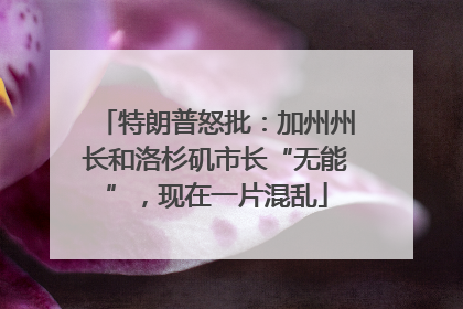 特朗普怒批：加州州长和洛杉矶市长“无能”，现在一片混乱