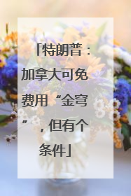 特朗普：加拿大可免费用“金穹”，但有个条件