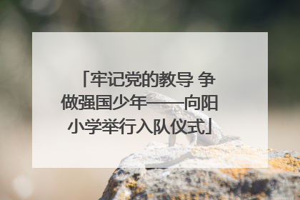 牢记党的教导 争做强国少年——向阳小学举行入队仪式