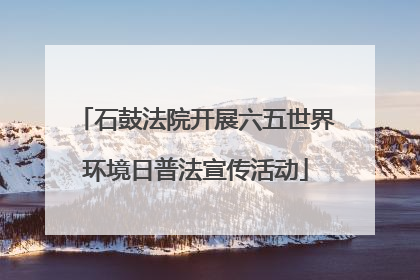 石鼓法院开展六五世界环境日普法宣传活动