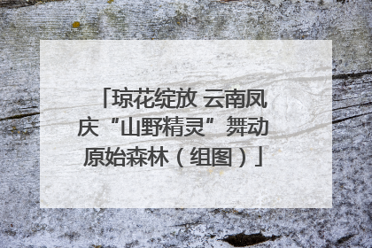 琼花绽放 云南凤庆“山野精灵”舞动原始森林（组图）