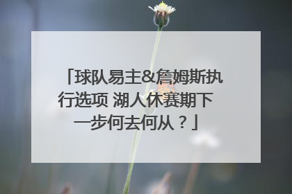 球队易主&詹姆斯执行选项 湖人休赛期下一步何去何从？