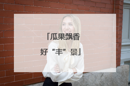 瓜果飘香 好“丰”景