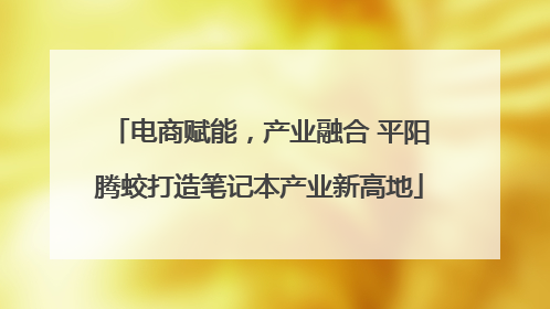 电商赋能，产业融合 平阳腾蛟打造笔记本产业新高地