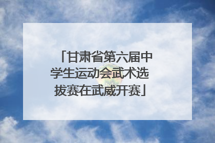 甘肃省第六届中学生运动会武术选拔赛在武威开赛