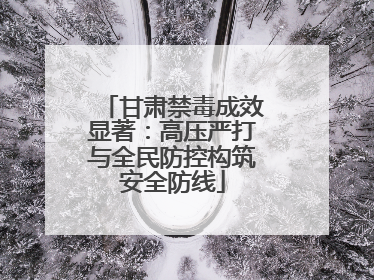 甘肃禁毒成效显著：高压严打与全民防控构筑安全防线