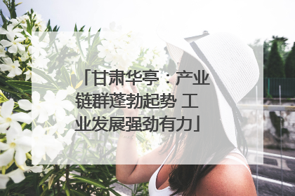 甘肃华亭：产业链群蓬勃起势 工业发展强劲有力