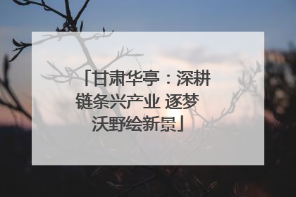 甘肃华亭：深耕链条兴产业 逐梦沃野绘新景