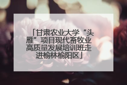 甘肃农业大学“头雁”项目现代畜牧业高质量发展培训班走进榆林榆阳区