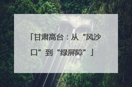 甘肃高台：从“风沙口”到“绿屏障”