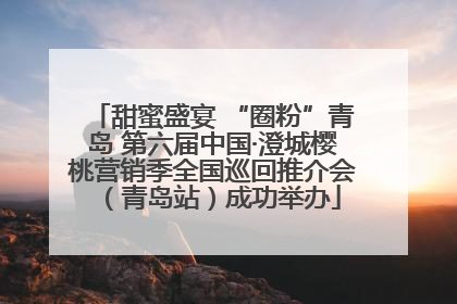 甜蜜盛宴 “圈粉”青岛 第六届中国·澄城樱桃营销季全国巡回推介会（青岛站）成功举办