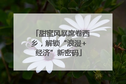 甜蜜风暴席卷西乡，解锁“浪漫+经济”新密码