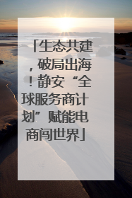 生态共建，破局出海！静安“全球服务商计划”赋能电商闯世界