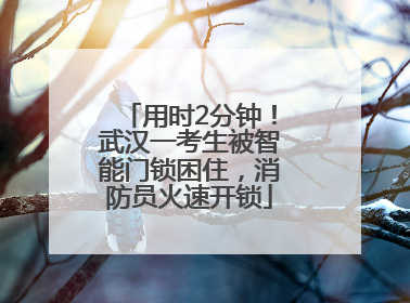 用时2分钟！武汉一考生被智能门锁困住，消防员火速开锁