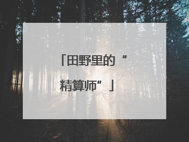 田野里的“精算师”