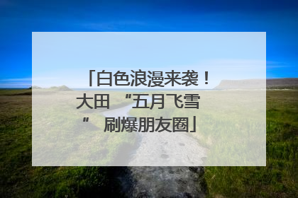 白色浪漫来袭！大田 “五月飞雪” 刷爆朋友圈