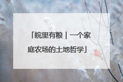 皖里有粮｜一个家庭农场的土地哲学