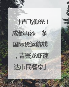 直飞仰光！成都再添一条国际货运航线，青蟹龙虾速达市民餐桌