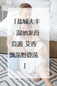 盐城大丰：湿地龙舟竞渡 艾香飘荡野鹿荡