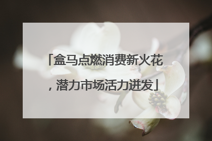 盒马点燃消费新火花，潜力市场活力迸发