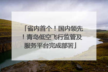 省内首个！国内领先！青岛低空飞行监管及服务平台完成部署