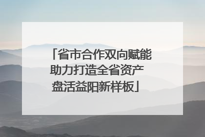 省市合作双向赋能 助力打造全省资产盘活益阳新样板