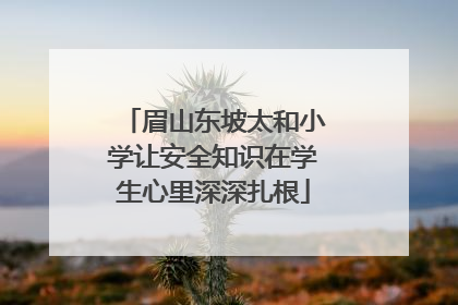 眉山东坡太和小学让安全知识在学生心里深深扎根