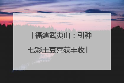 福建武夷山：引种七彩土豆喜获丰收