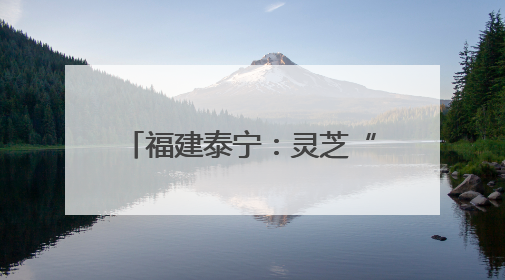 福建泰宁：灵芝“链”出富民新图景