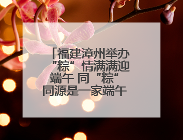 福建漳州举办“粽”情满满迎端午 同“粽”同源是一家端午联谊活动