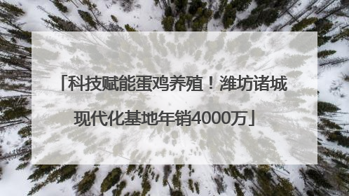 科技赋能蛋鸡养殖！潍坊诸城现代化基地年销4000万