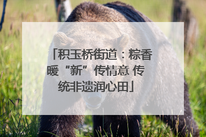积玉桥街道：粽香暖“新”传情意 传统非遗润心田