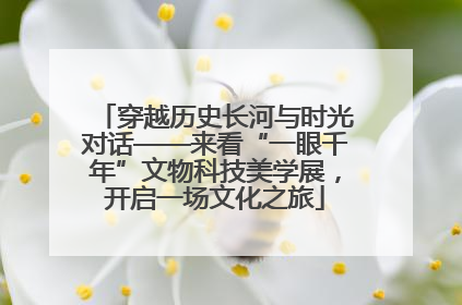 穿越历史长河与时光对话——来看“一眼千年”文物科技美学展，开启一场文化之旅
