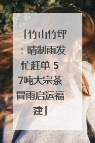 竹山竹坪：晴制雨发忙赶单 57吨大宗茶冒雨启运福建
