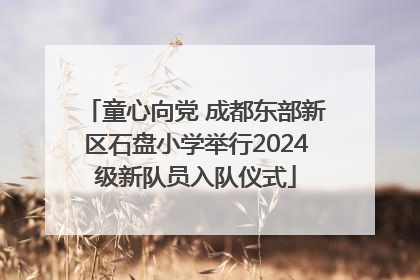 童心向党 成都东部新区石盘小学举行2024级新队员入队仪式
