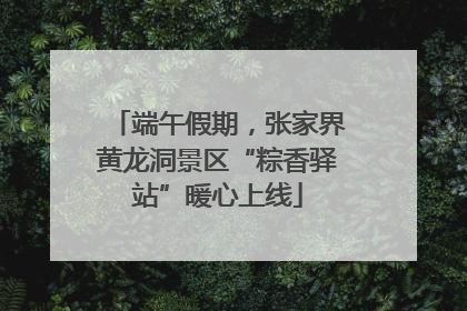 端午假期，张家界黄龙洞景区“粽香驿站”暖心上线