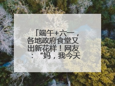 端午+六一，各地政府食堂又出新花样！网友：“妈，我今天不回家吃了”